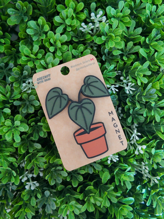 Anthurium Magnet