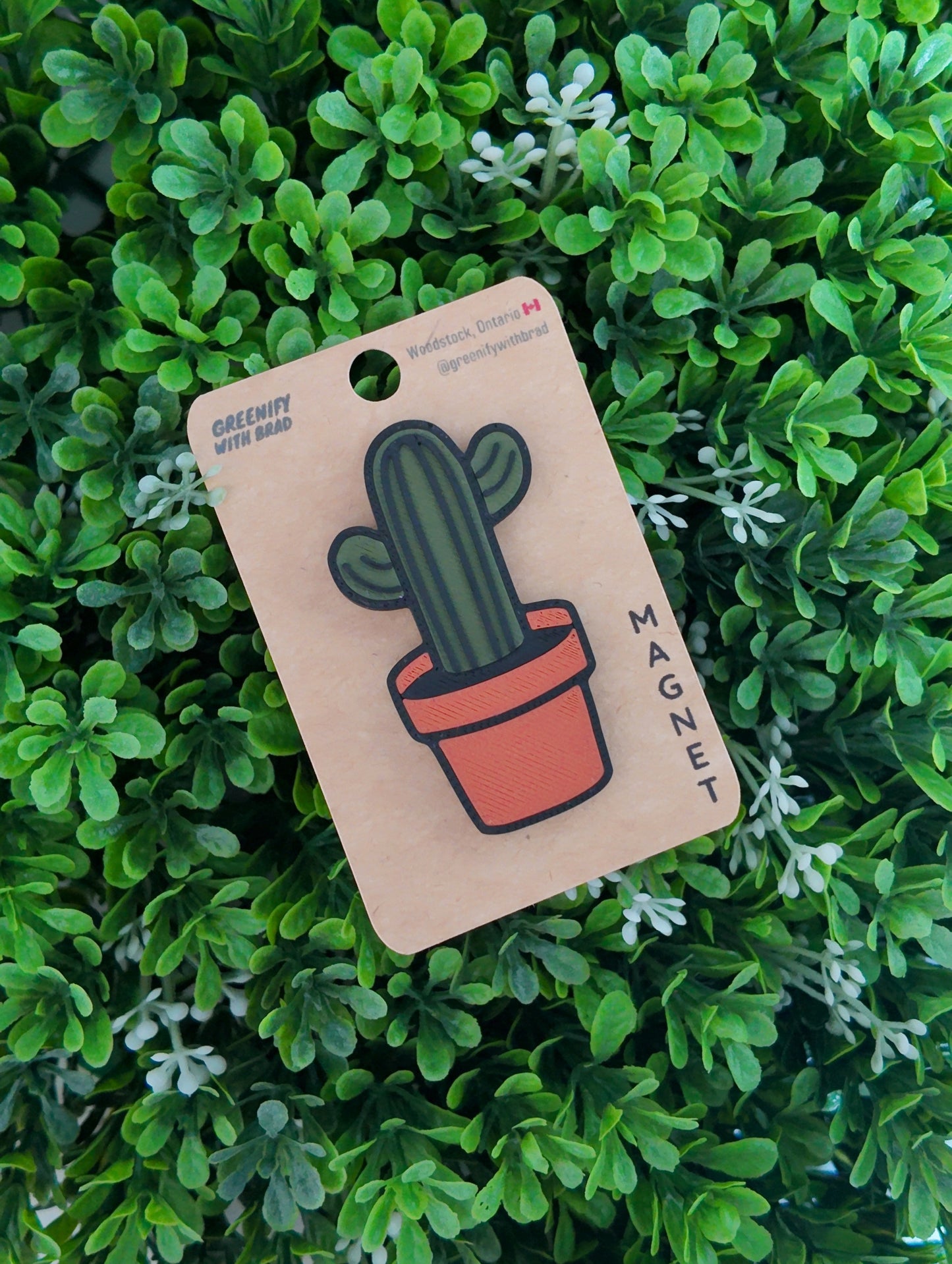 Cactus Magnet