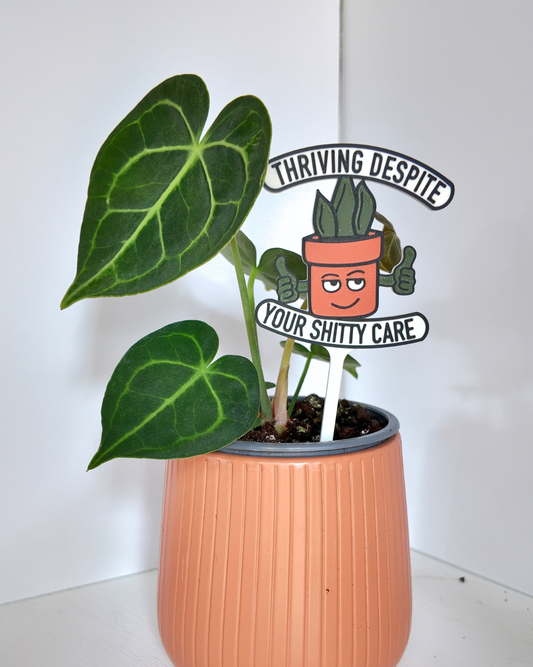 Thriving Despite Your Shitty Care