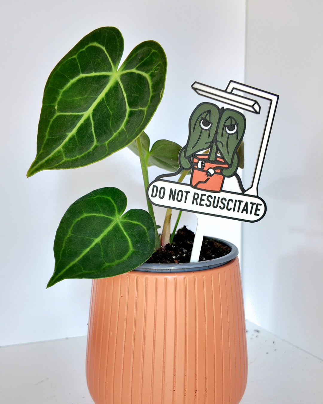Do Not Resuscitate