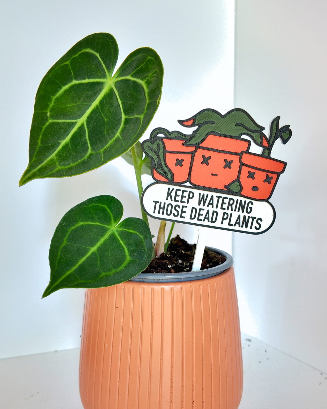 Keep Watering Those Dead Plants