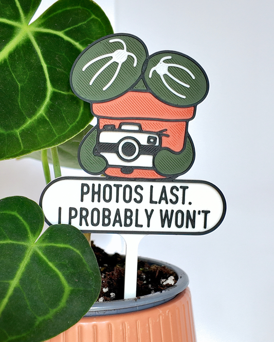 Photos Last. I Probably Won't