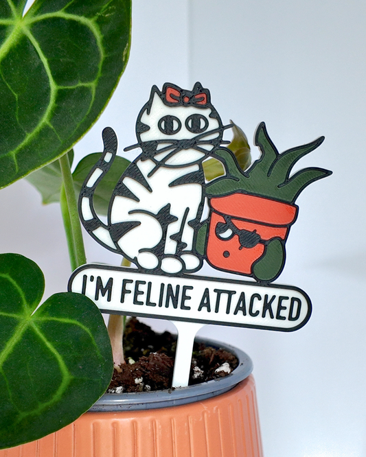 I'm Feline Attacked