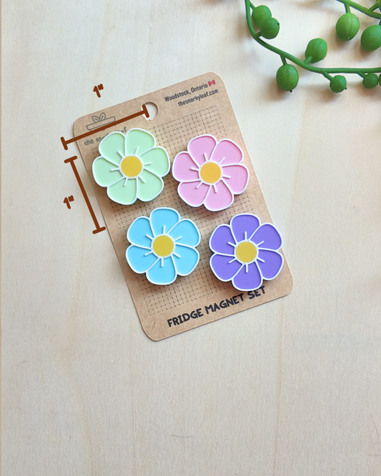 Cosmo Magnet Set