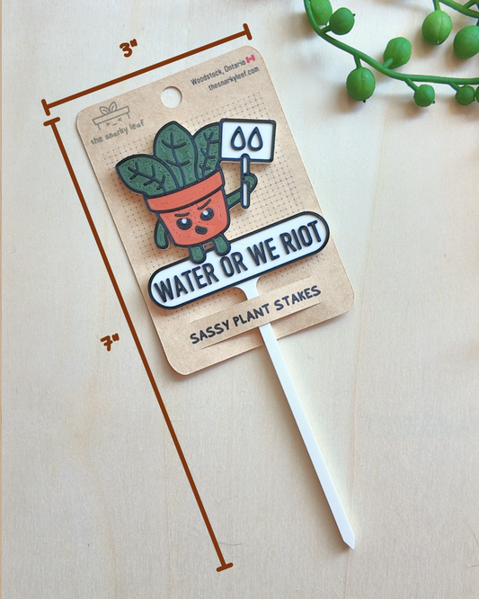Water or We Riot Tag