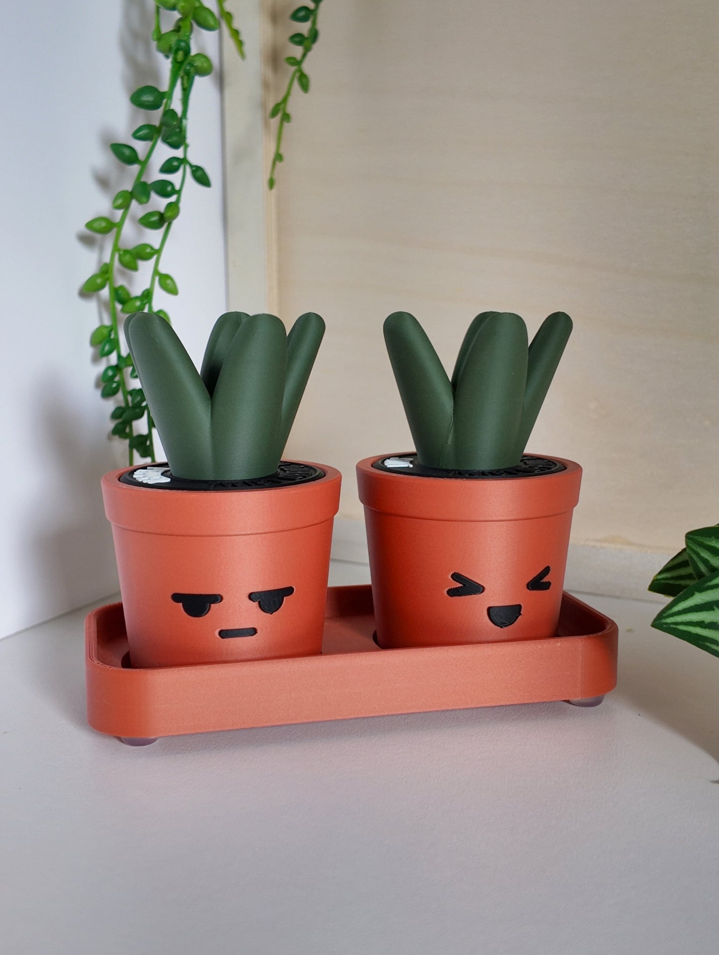 Sprouts Salt & Pepper Set