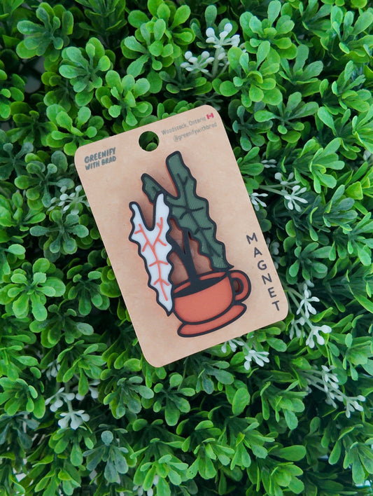 Tea Cup Alocasia Narrow Magnet