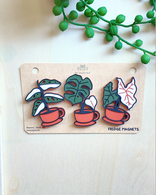 Tea Cup Pot Magnet Pack "A"