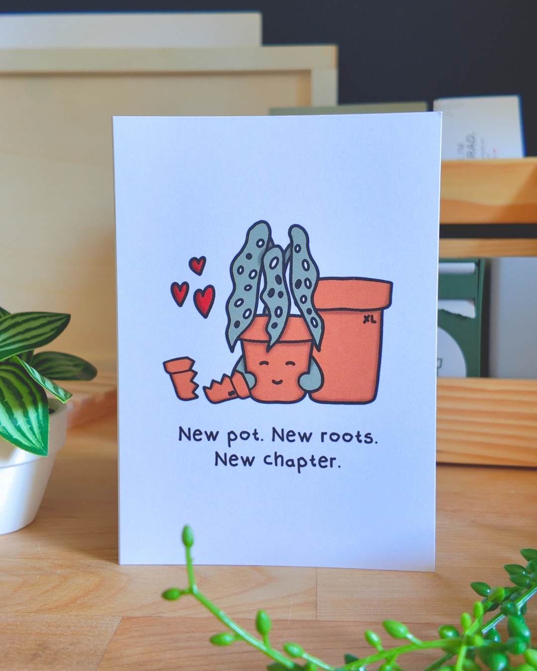 New Pot. New Roots. New Chapter Card