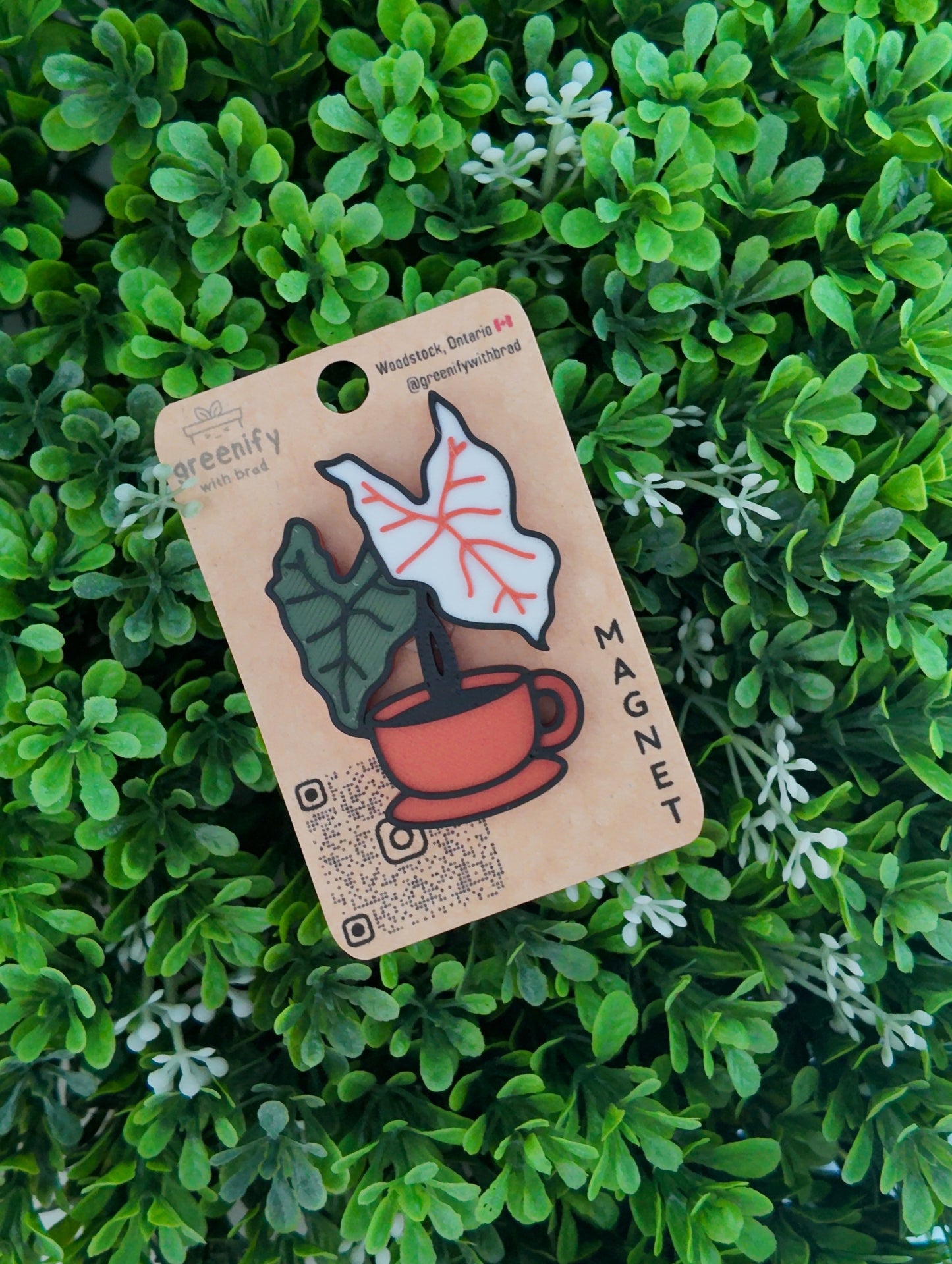 Tea Cup Alocasia Magnet