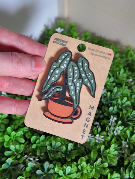 Tea Cup Begonia Magnet