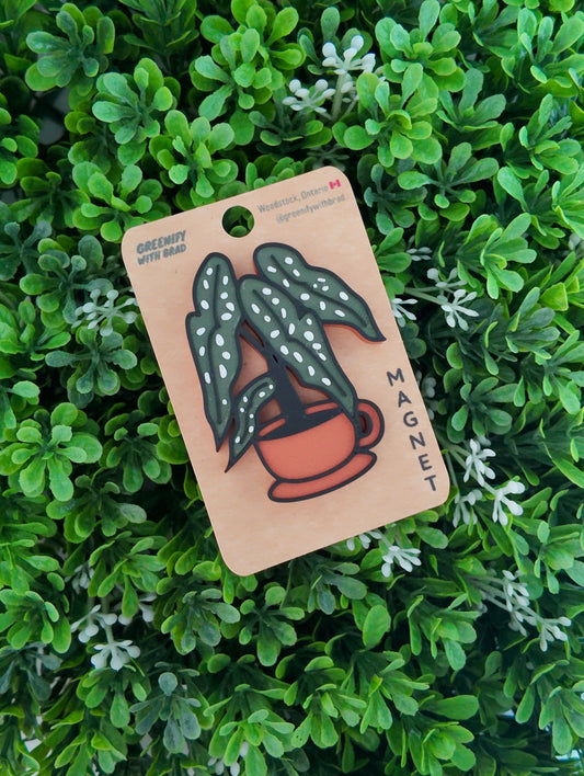 Tea Cup Begonia Magnet
