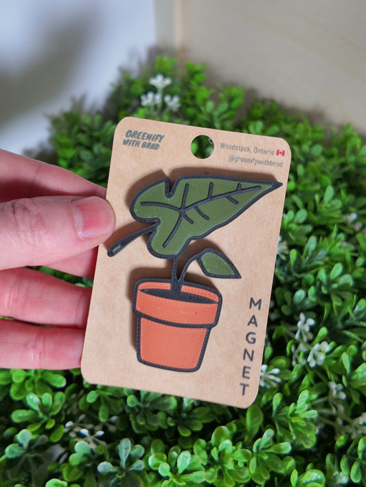 Alocasia Magnet