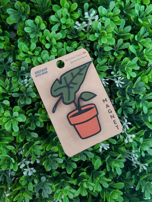 Alocasia Magnet
