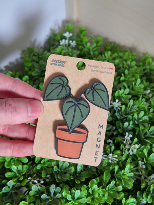 Anthurium Magnet