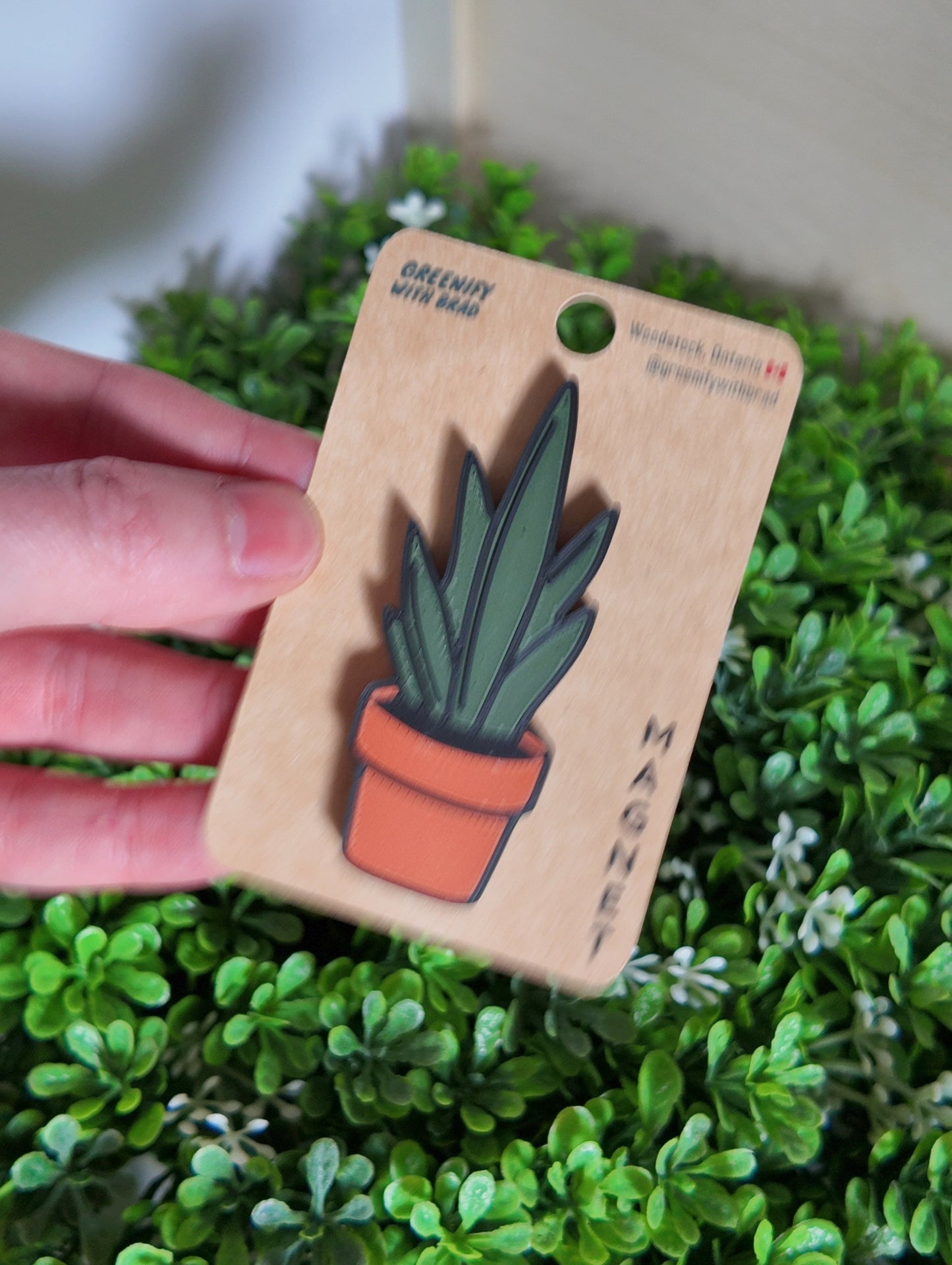 Snake Plant Magnet