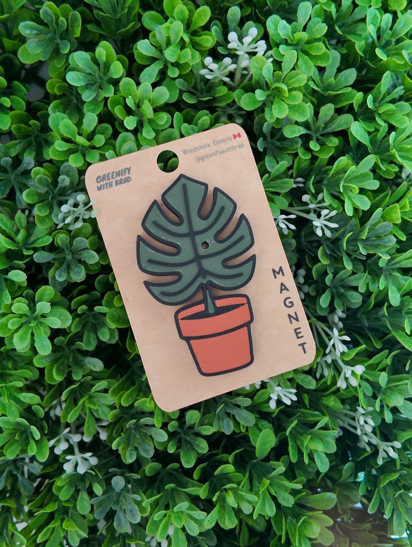 Monstera Magnet