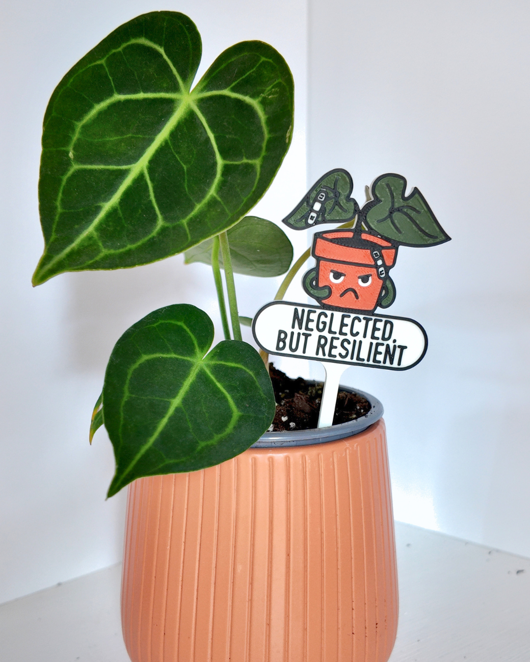 Neglected But Resilient