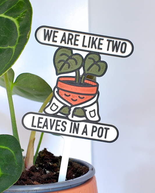 We Are Like Two Leaves In A Pot