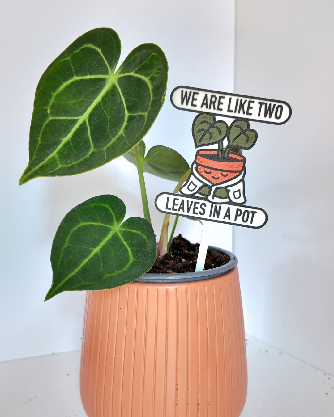 We Are Like Two Leaves In A Pot