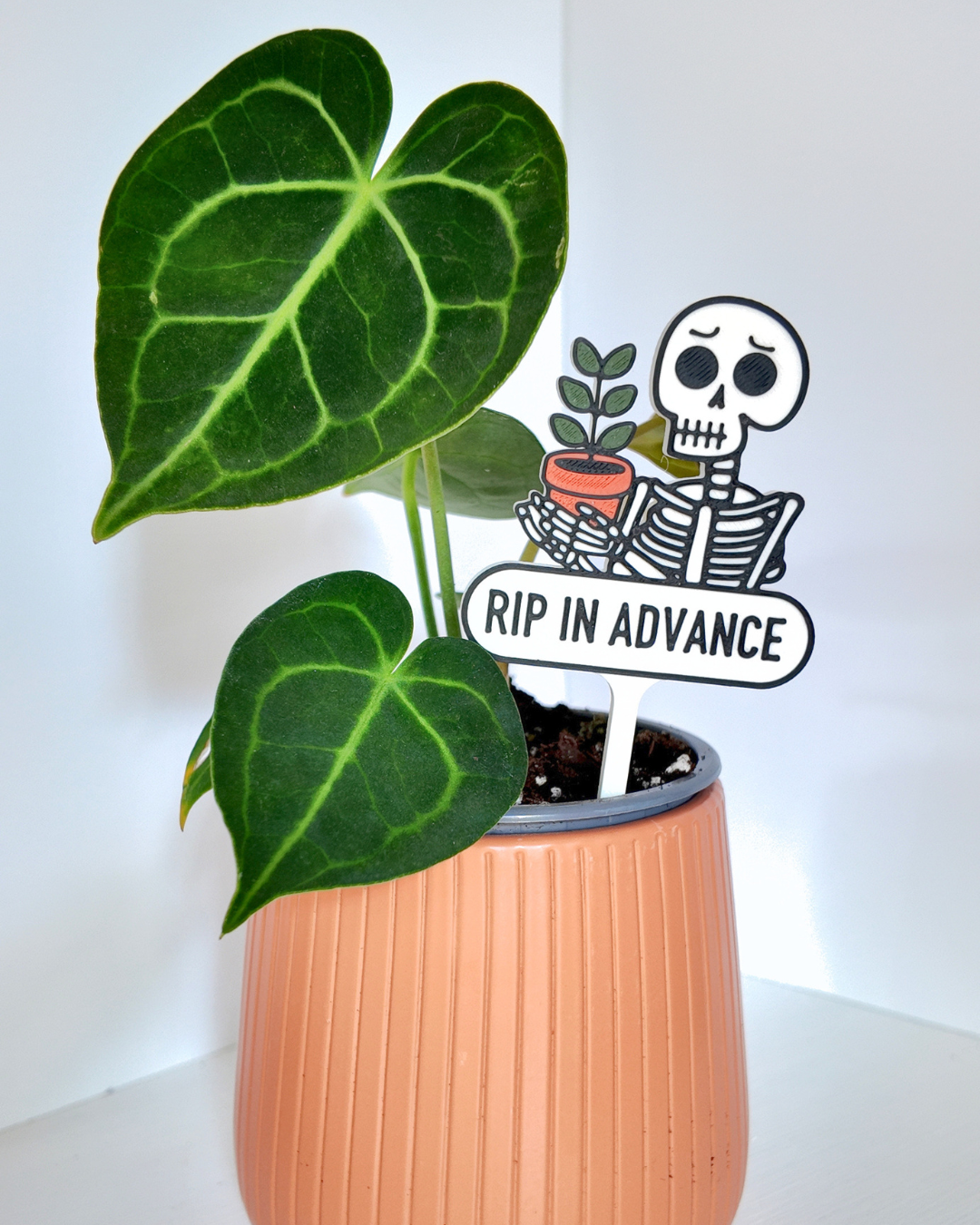 RIP In Advance