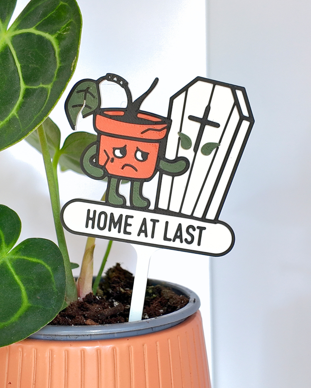 Home At Last