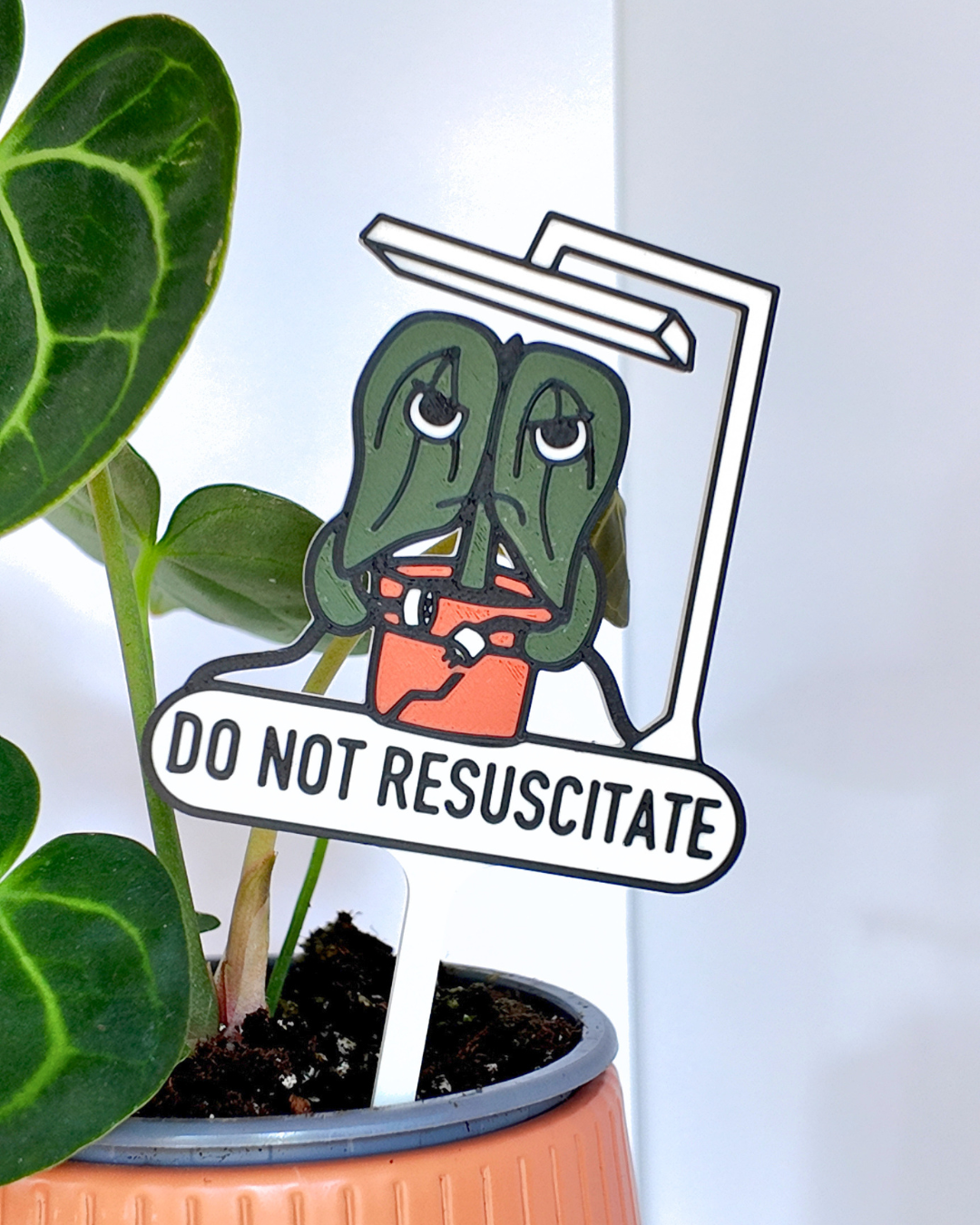 Do Not Resuscitate