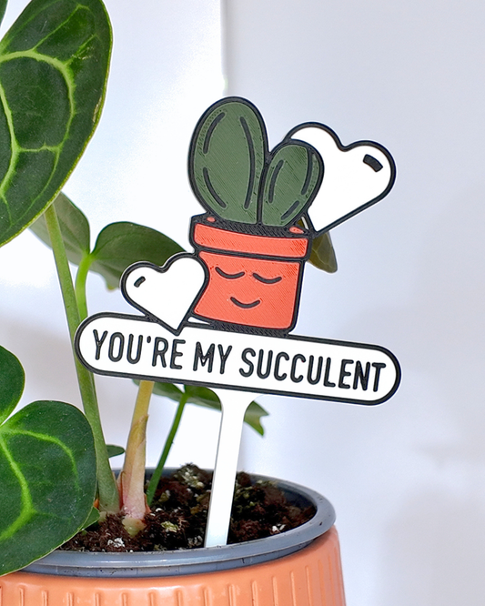 You're My Succulent