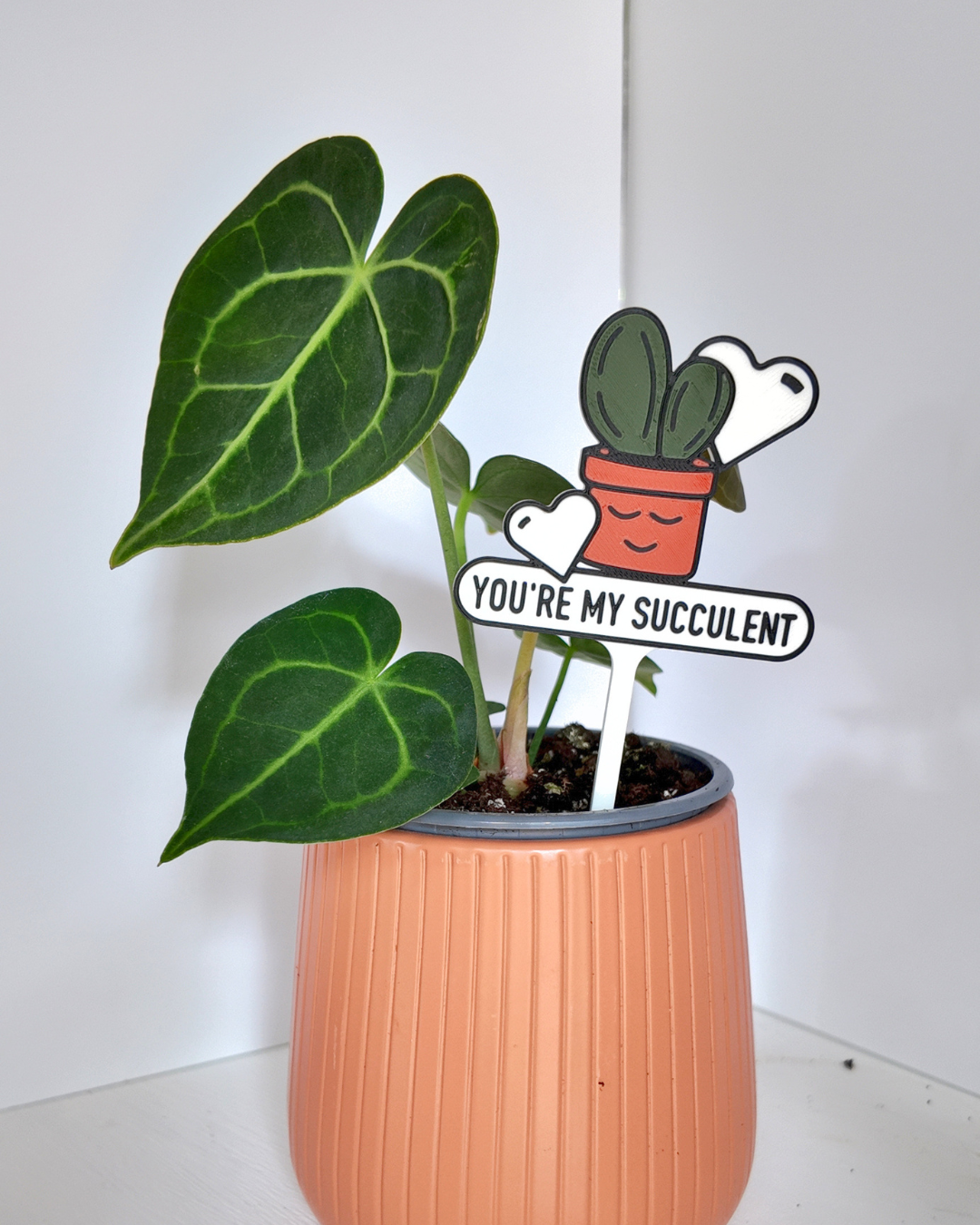 You're My Succulent