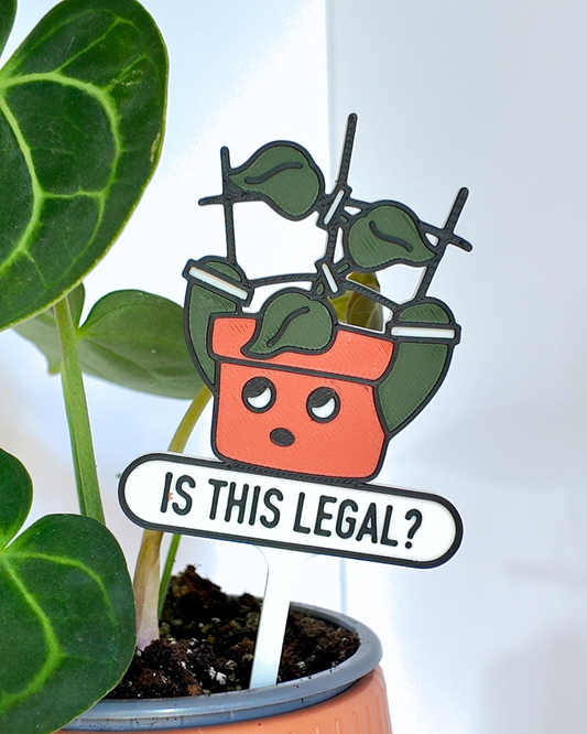 Is This Legal?