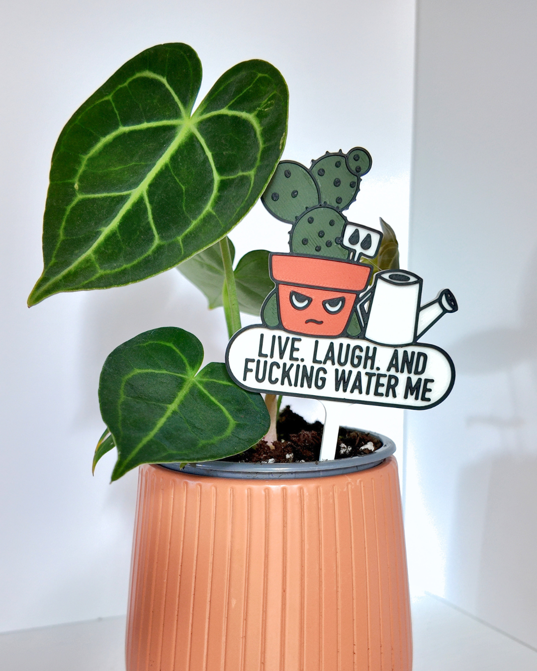 Live. Laugh. And Fucking Water Me