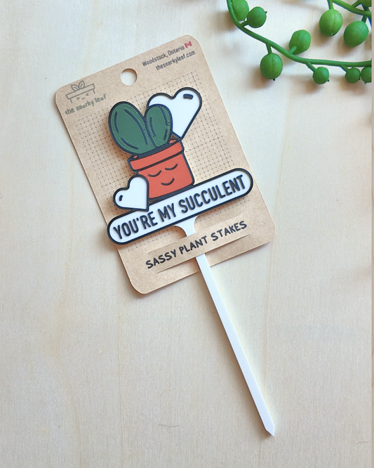 You're My Succulent