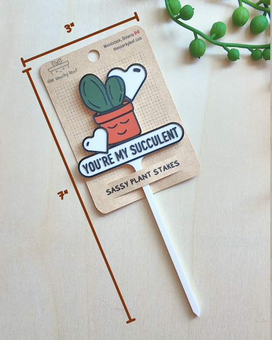 You're My Succulent