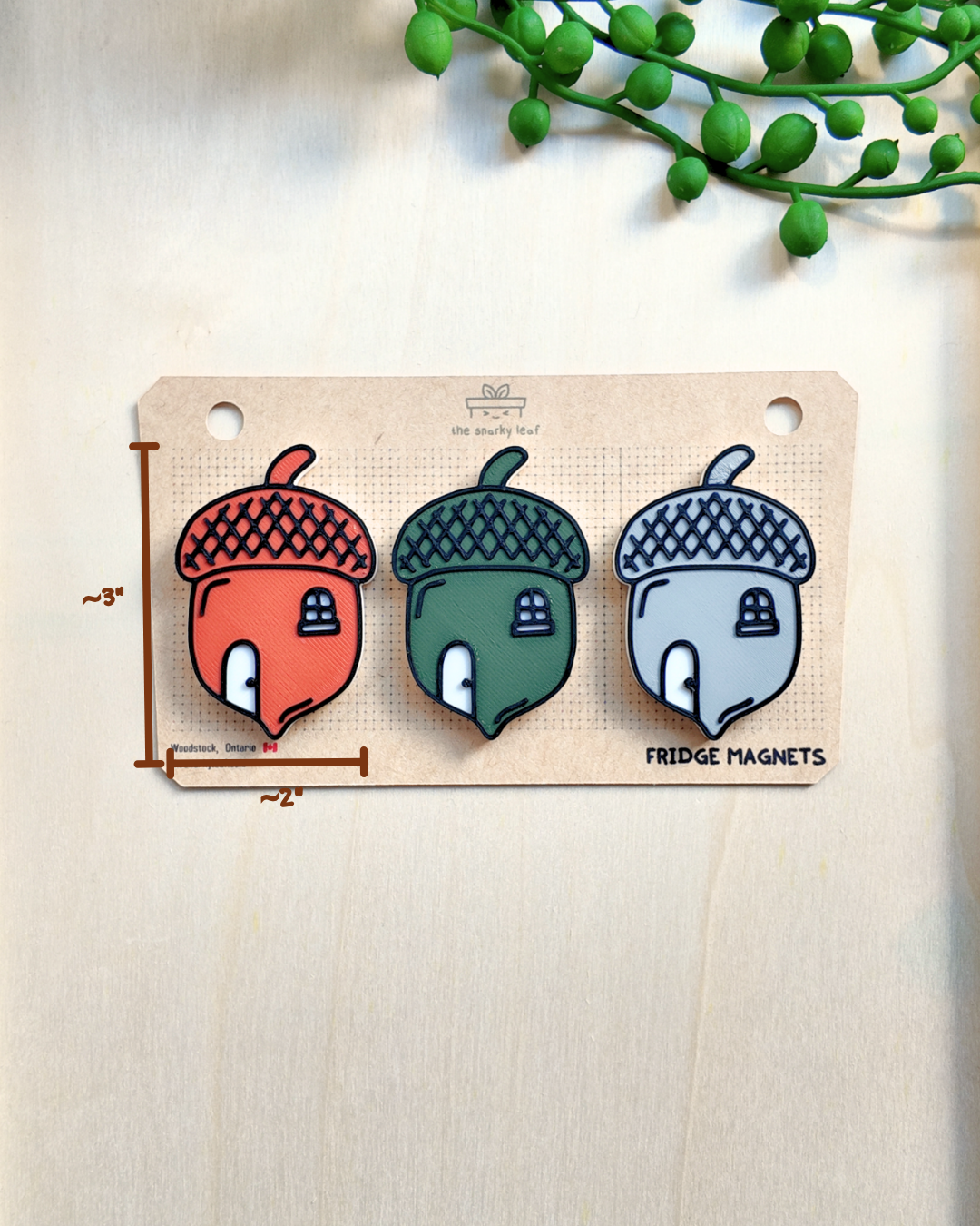Acorn Pack - Fall 2026