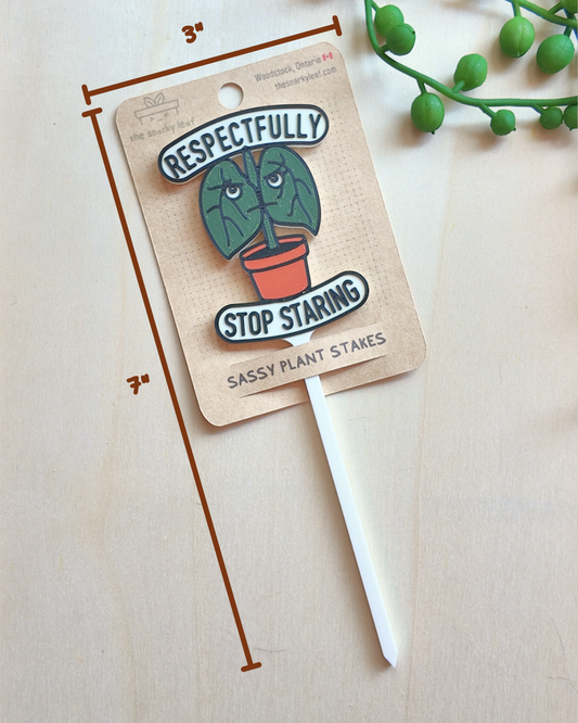 Respectfully Stop Staring Tag