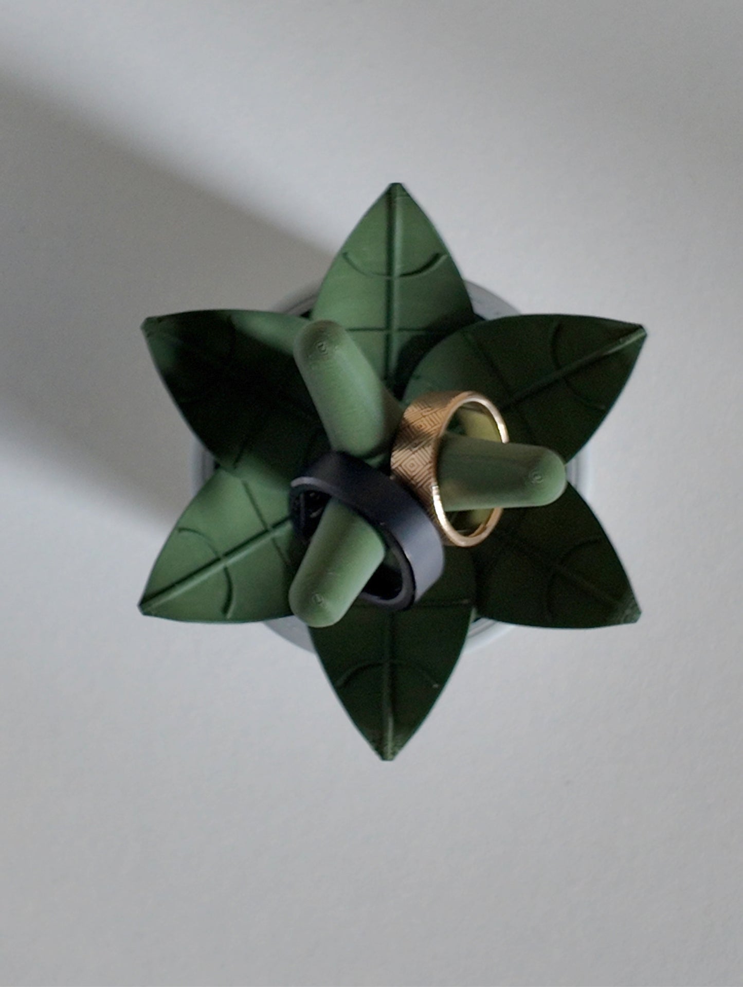 The Frond - Ring Holder