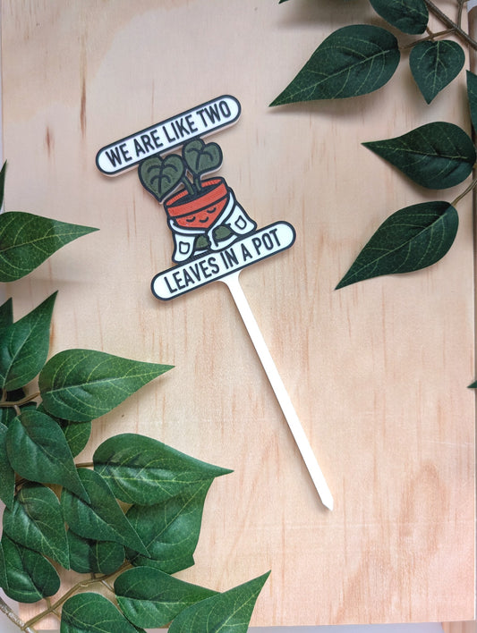 We Are Like Two Leaves In A Pot